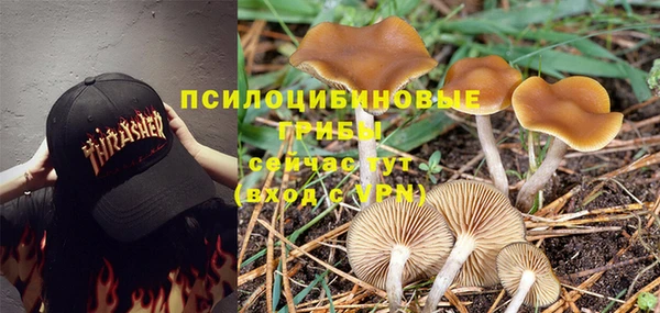 каннабис Горняк