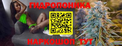 шишки Краснокаменск