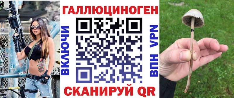 где можно купить наркотик  Шахты  Псилоцибиновые грибы прущие грибы 