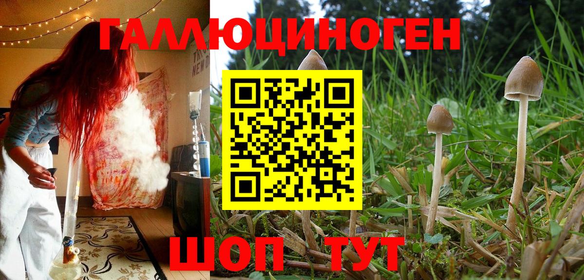 Галлюциногенные грибы GOLDEN TEACHER Шахты