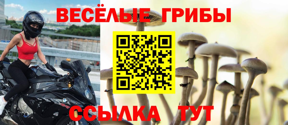 Галлюциногенные грибы Psilocybine cubensis  Вход с VPN  Шахты 